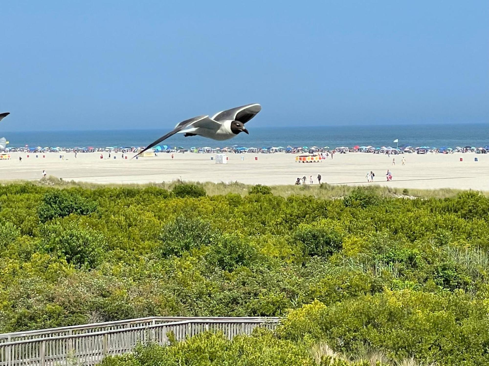 Beach Colony Motel Wildwood Crest Kültér fotó